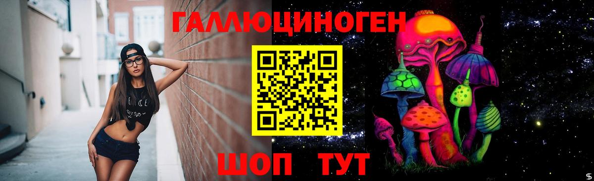 Псилоцибиновые грибы GOLDEN TEACHER Кемерово